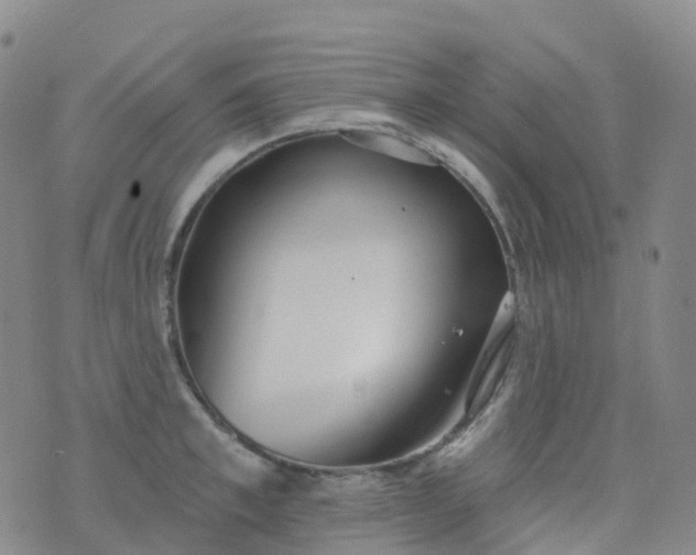 X0000076420997200610202215