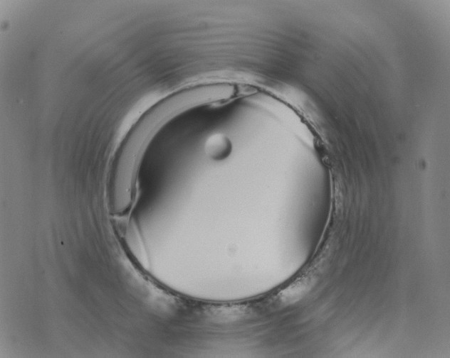 X0000076420998200610202215