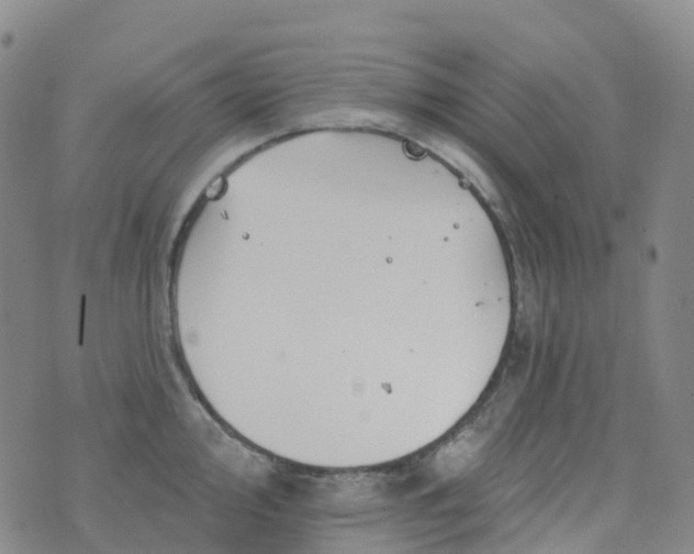 X0000076421000200610202215