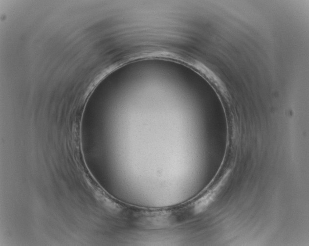 X0000076421001200610202215