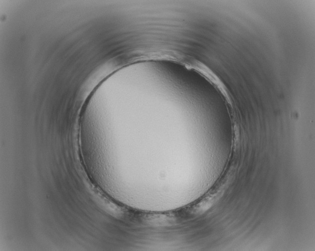 X0000076421002200610202215