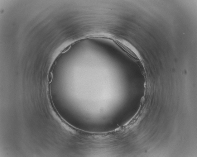 X0000076421005200610202215