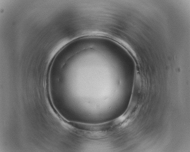 X0000076421007200610202215