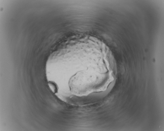 X0000076421009200610202214