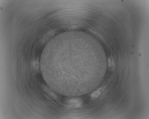 X0000076421011200610202214