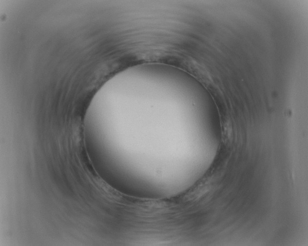 X0000076421012200610202214