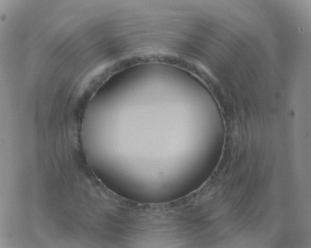 X0000076421016200610202214