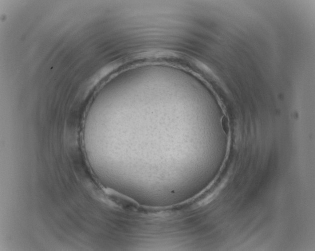 X0000076421017200610202214