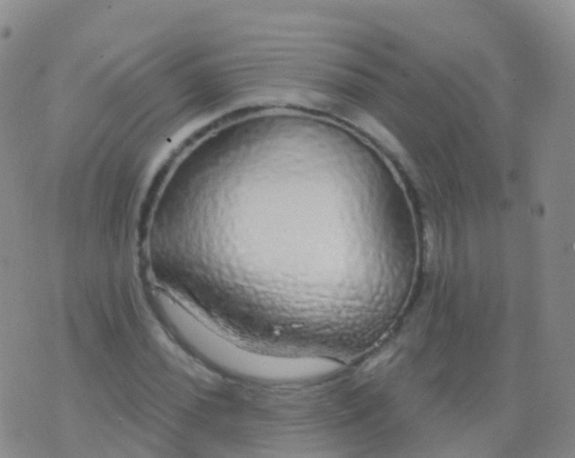 X0000076421020200610202214