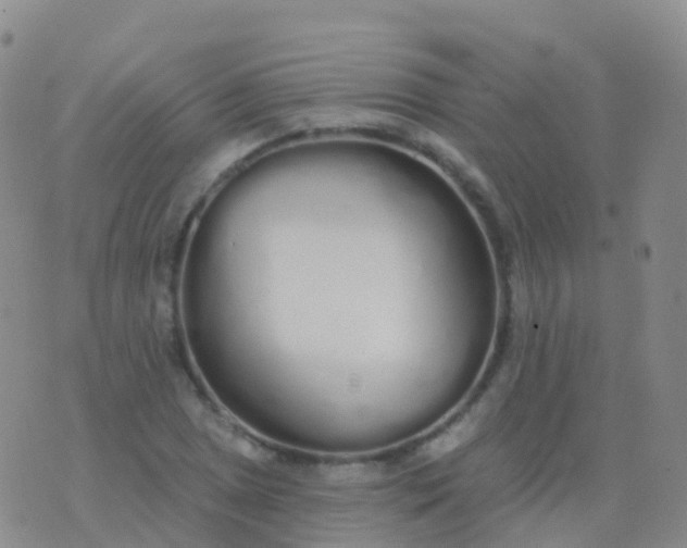 X0000076421025200610202215