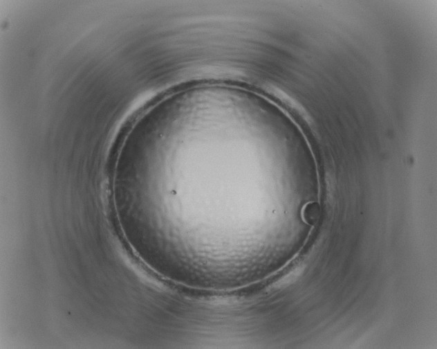 X0000076421029200610202215