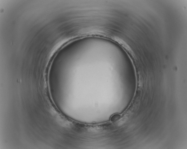 X0000076421031200610202215