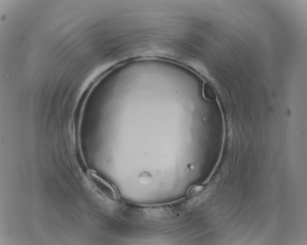 X0000076421032200610202215