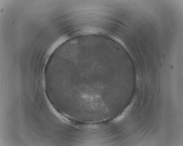 X0000076421034200610202215