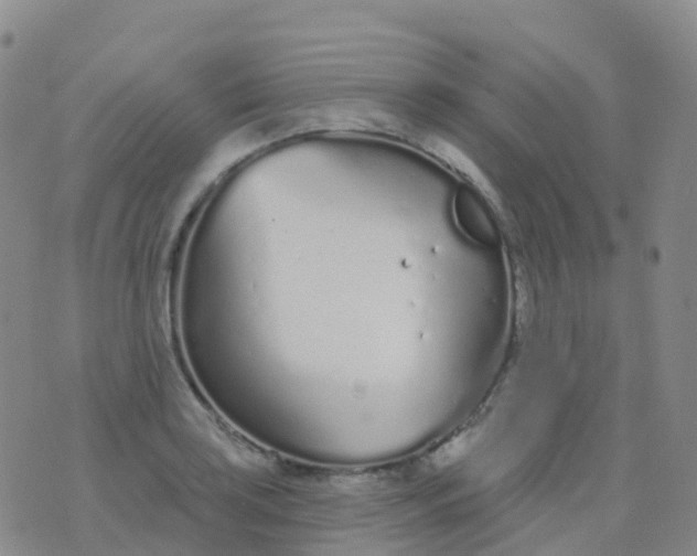 X0000076421035200610202215