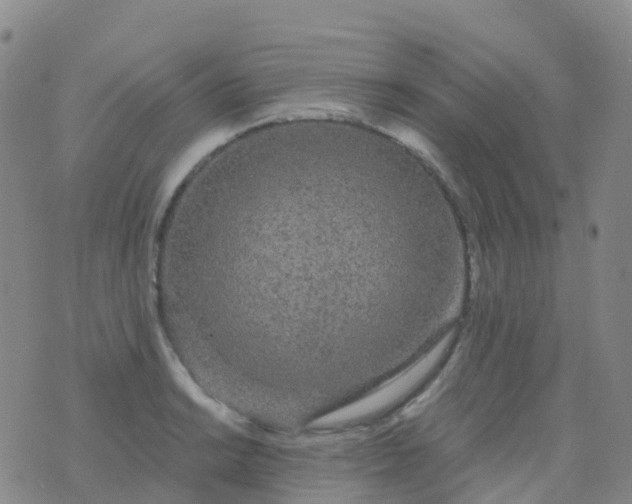 X0000076421038200610202215