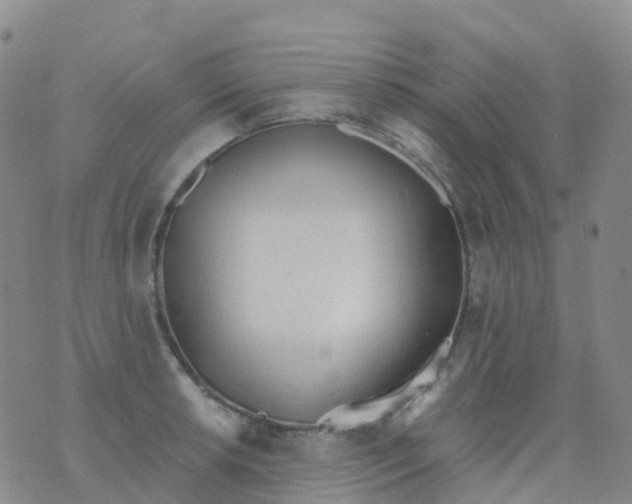 X0000076421042200610202215