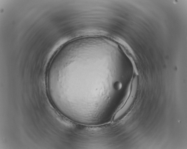 X0000076421043200610202215