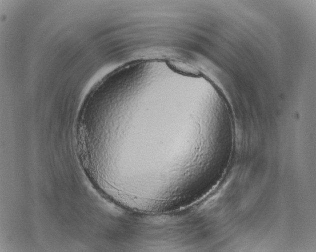 X0000076421045200610202215