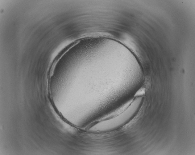 X0000076421046200610202215