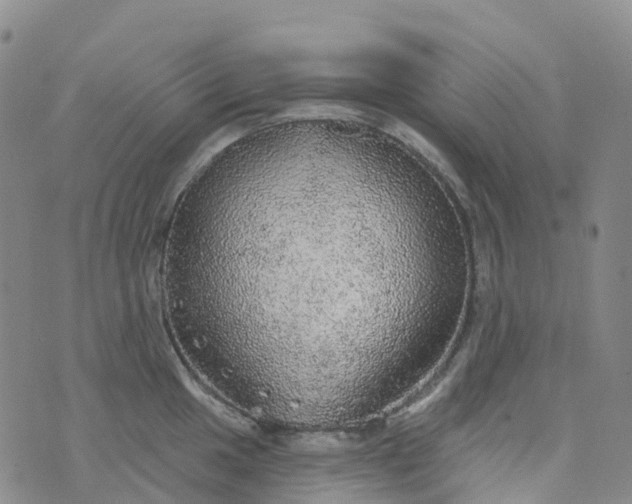 X0000076421049200610202215