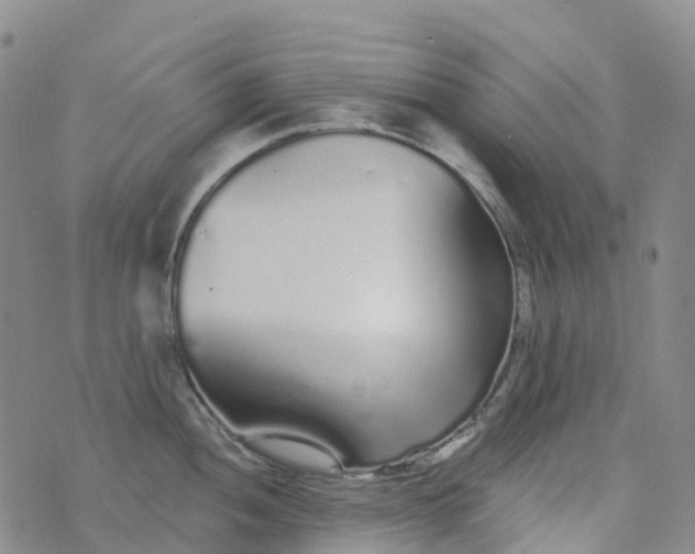 X0000076421052200610202215