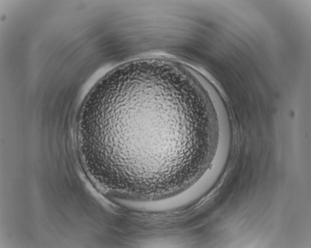 X0000076421054200610202215