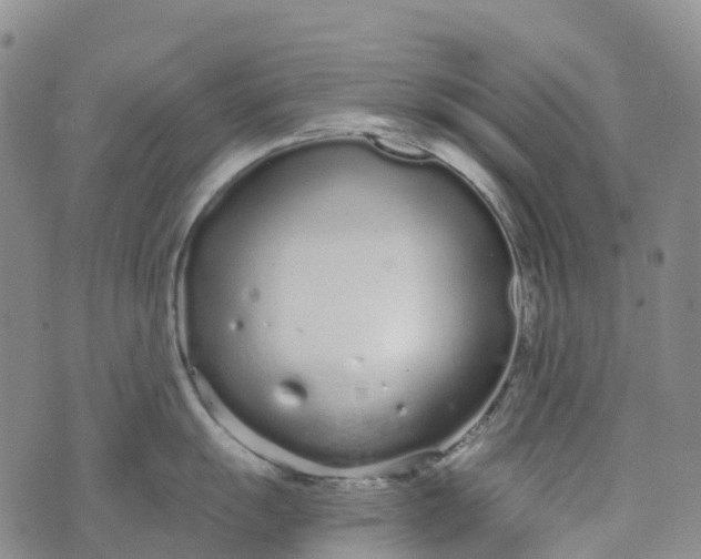 X0000076421055200610202215