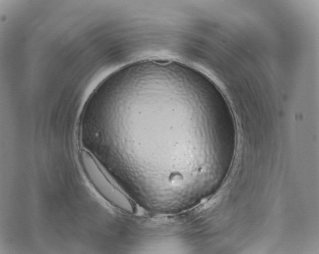 X0000076421056200610202215