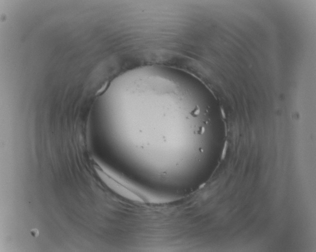 X0000076421058200610202214