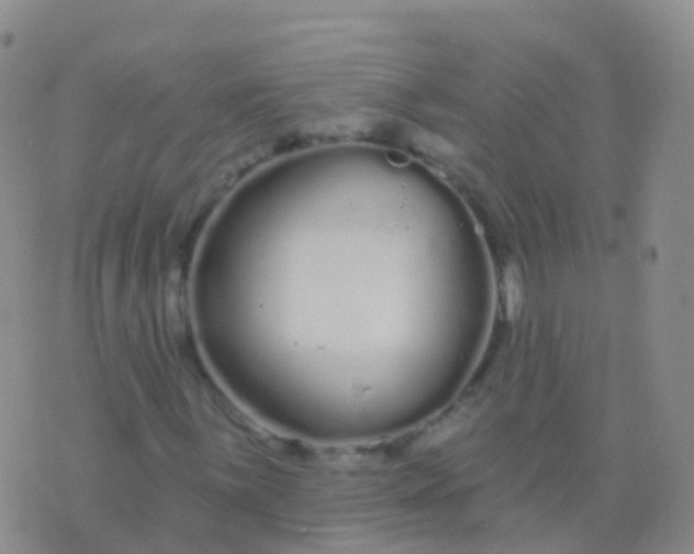 X0000076421059200610202214