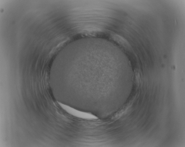 X0000076421060200610202214