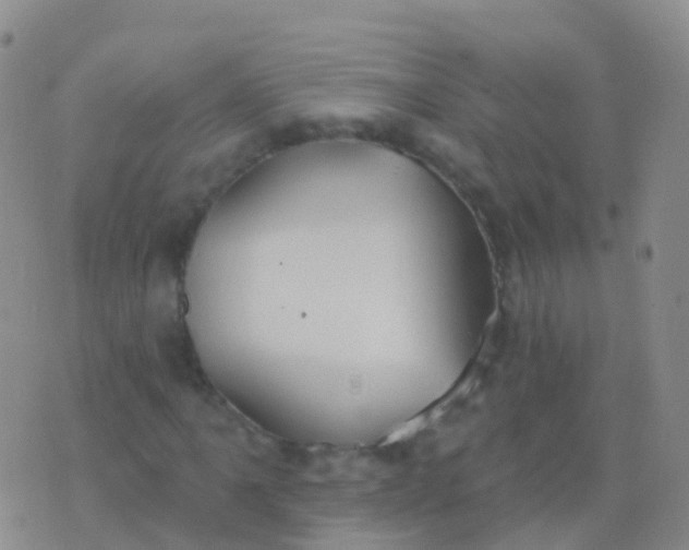 X0000076421061200610202214