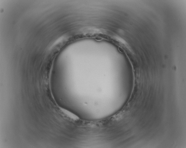 X0000076421063200610202214