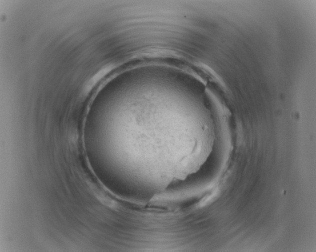 X0000076421065200610202214