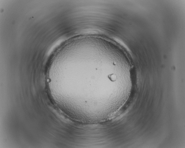 X0000076421067200610202214