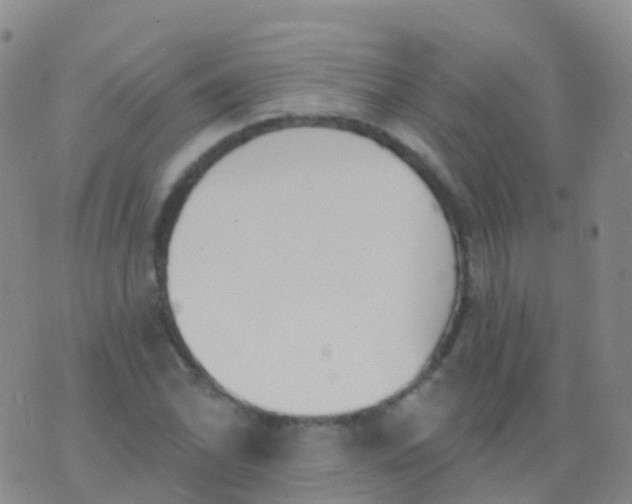 X0000076421070200610202214