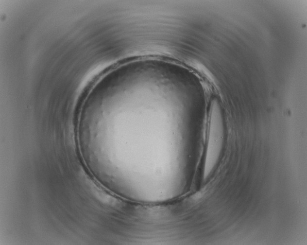 X0000076421072200610202214