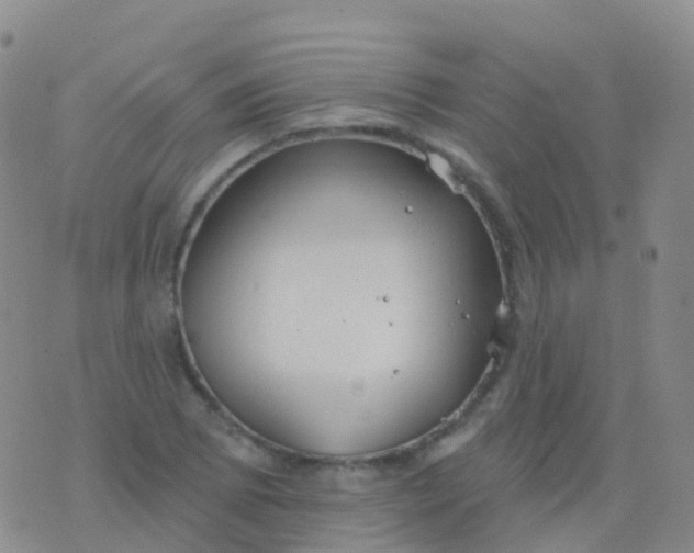 X0000076421073200610202214