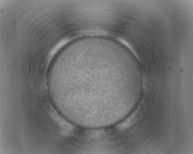 X0000076421074200610202214