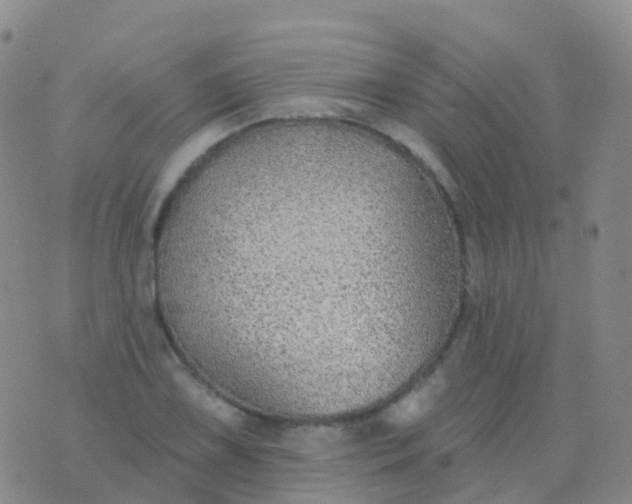 X0000076421075200610202214