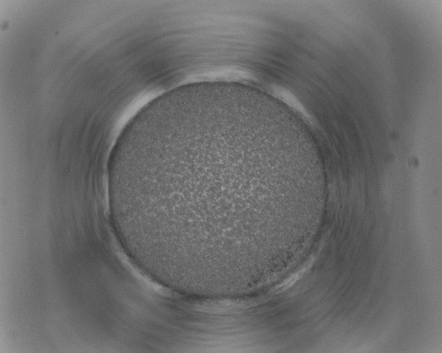 X0000076421079200610202214