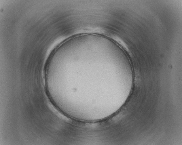 X0000076421080200610202214