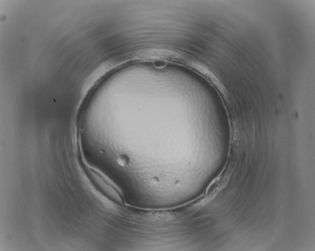 X0000076421083200610202214