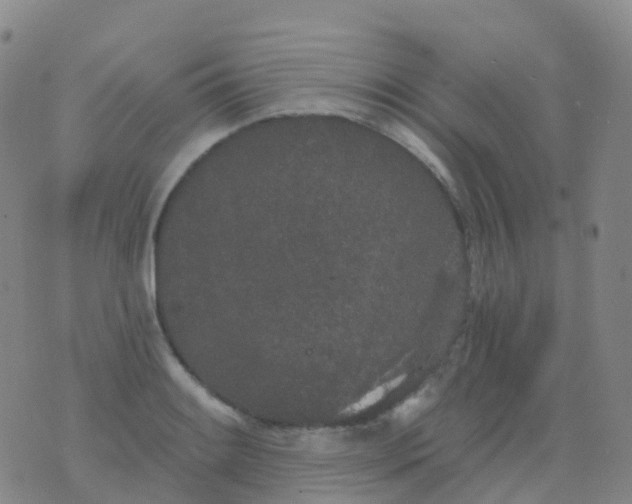 X0000076421084200610202214