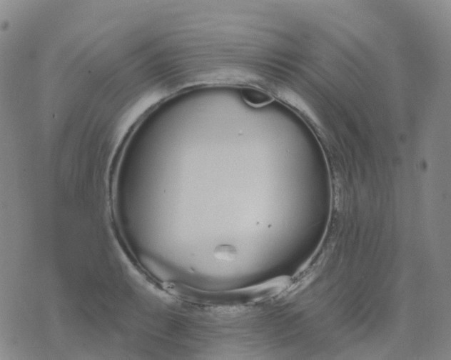 X0000076421087200610202214