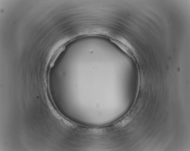 X0000076421088200610202214