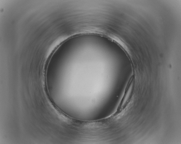 X0000076421093200610202214