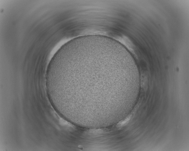 X0000076421094200610202214