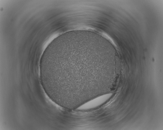 X0000076421095200610202214